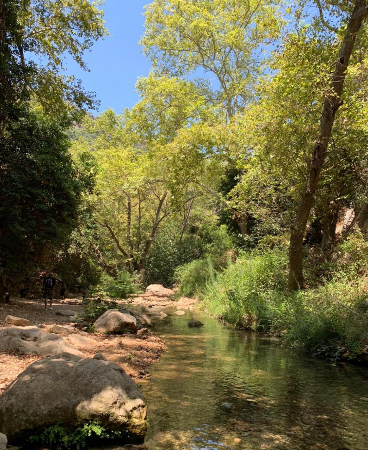 Netta'S Place Mitzpe Hila Luaran gambar